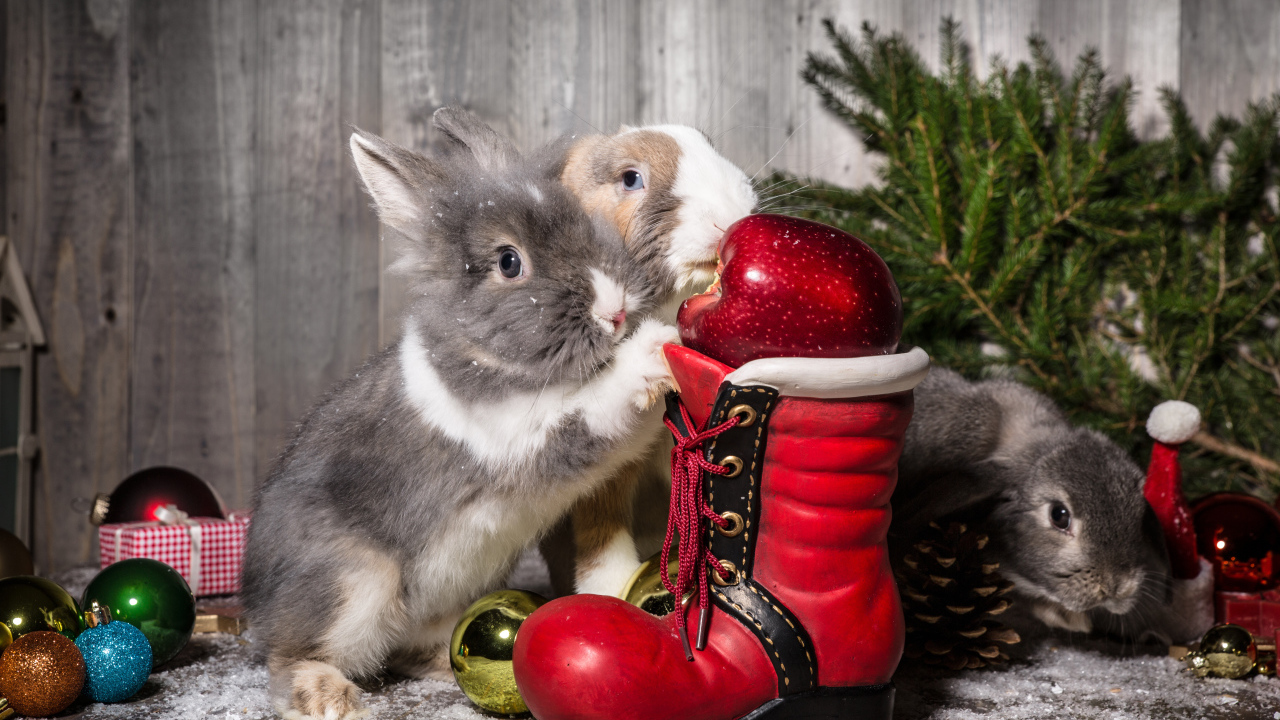 Два кролика с Рождественский сапогом и елью 