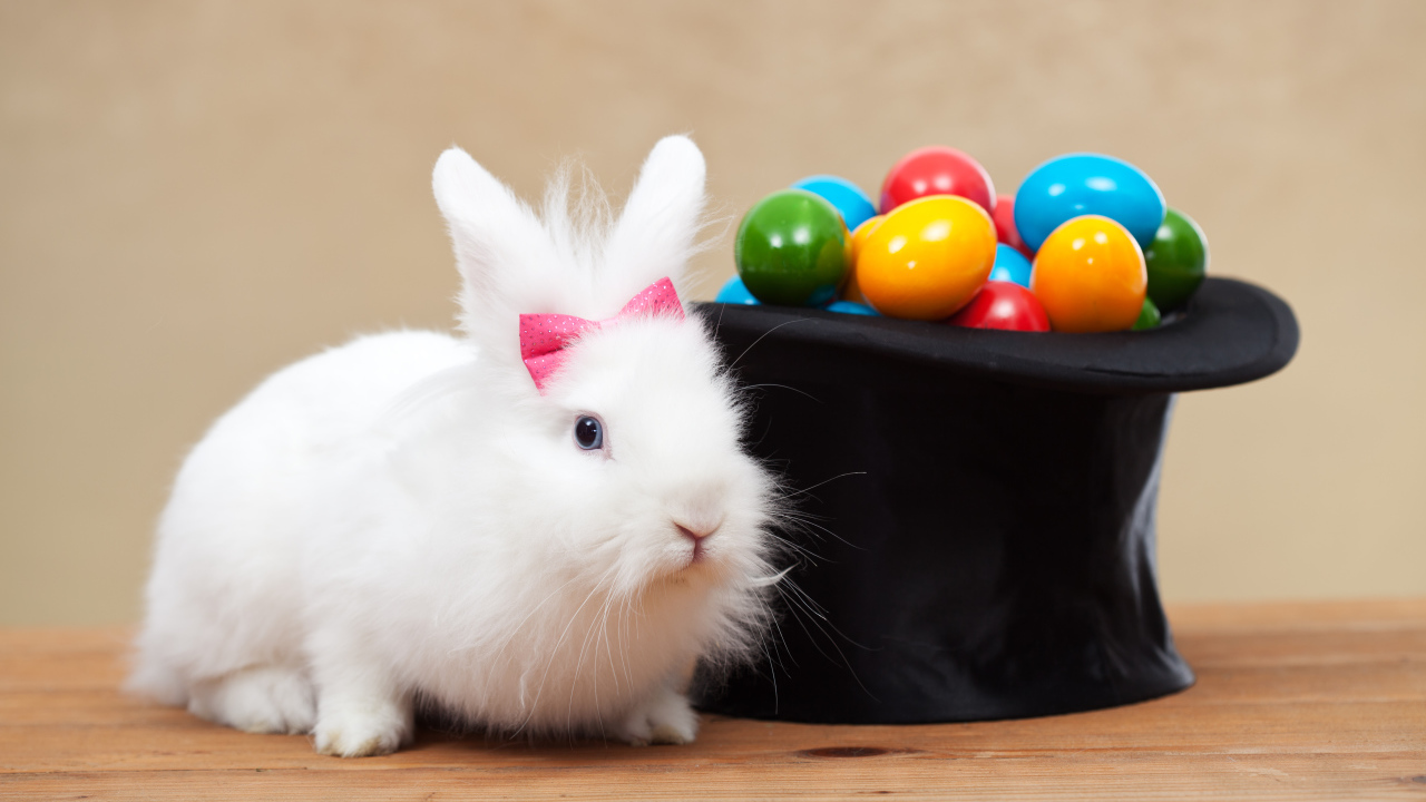 Белый кролик с черным цилиндром с крашеными яйцами