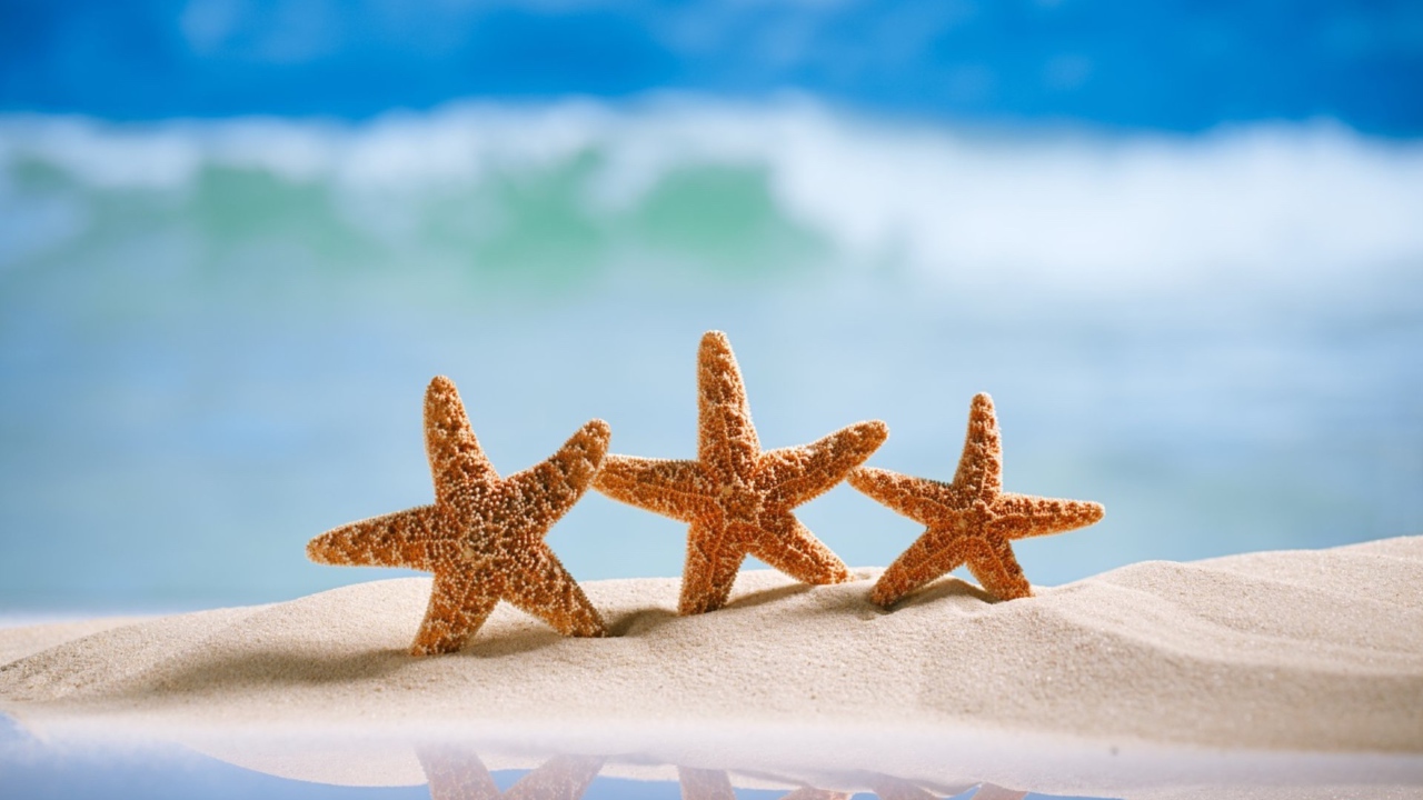 Три оранжевых морских звезды на желтом песке на море