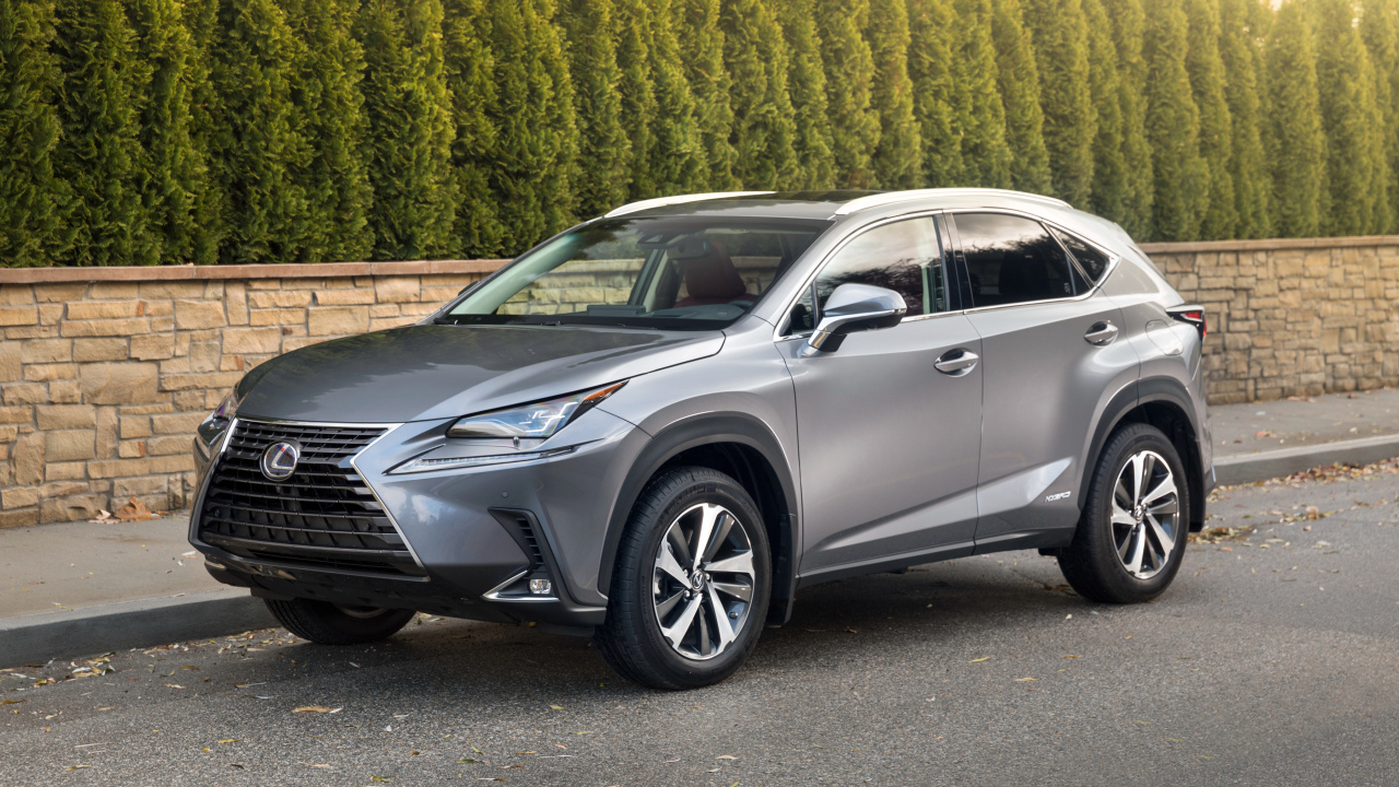 Японский серебристый внедорожник Lexus NX 300h, 2018 года