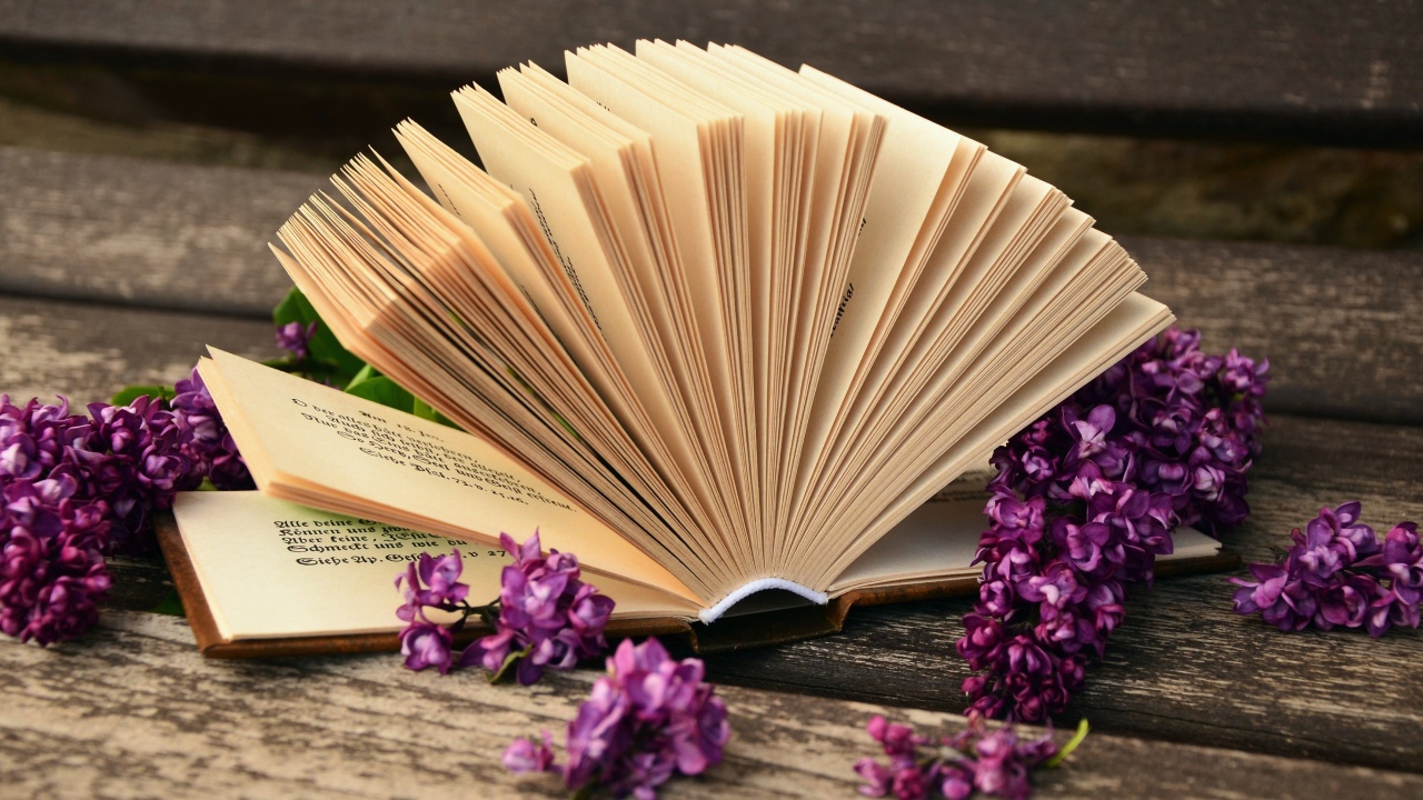 Открытая книга с сиреневыми цветами сирени