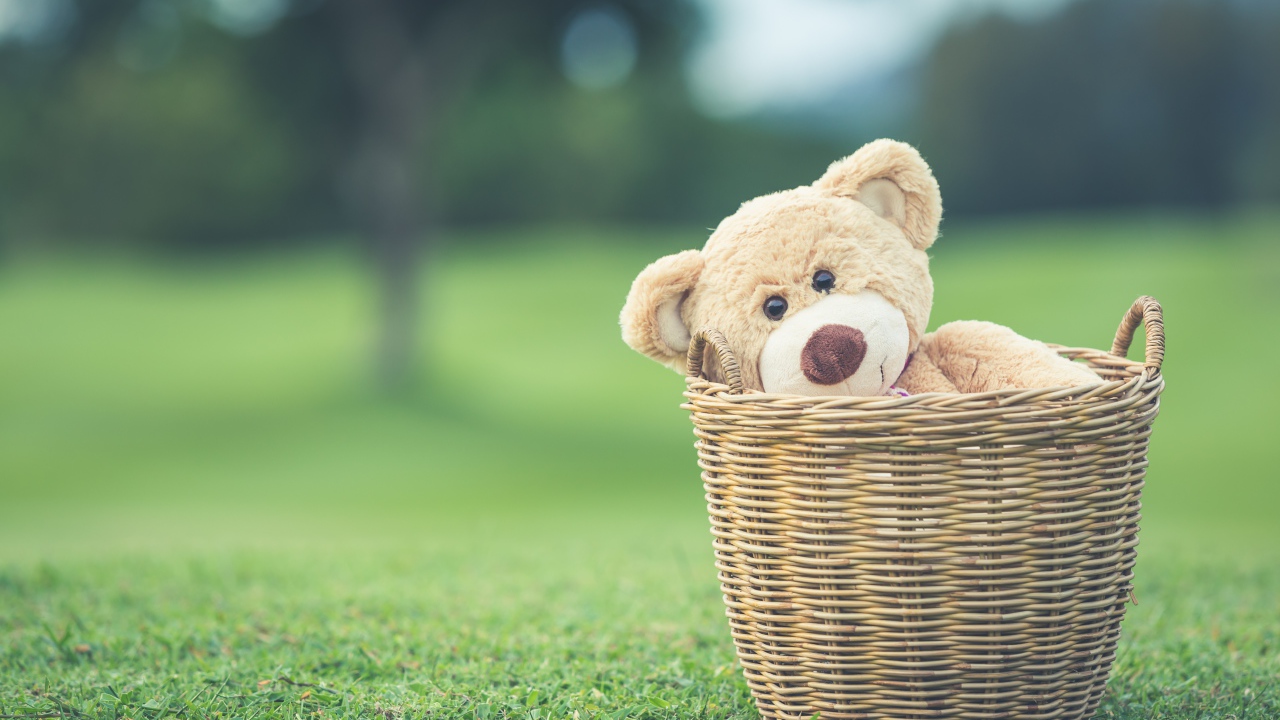 Плюшевый медведь в корзине на зеленой траве