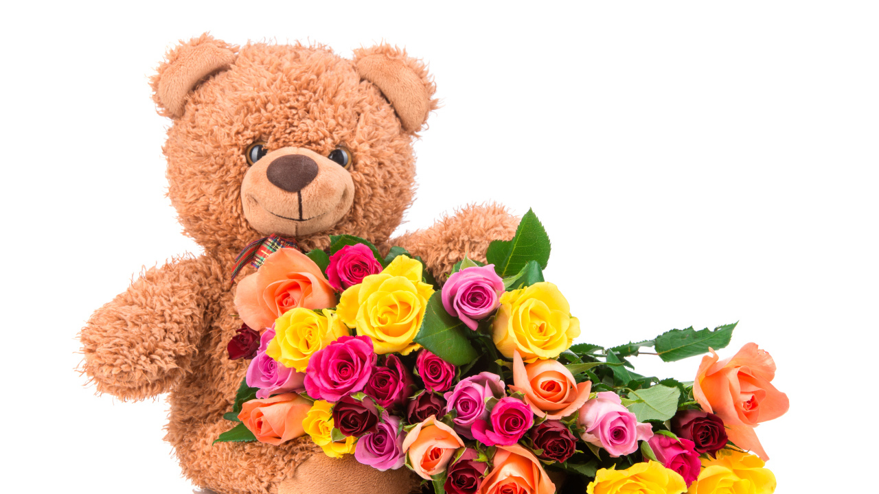 Плюшевый медведь с букетом разноцветных роз на белом фоне