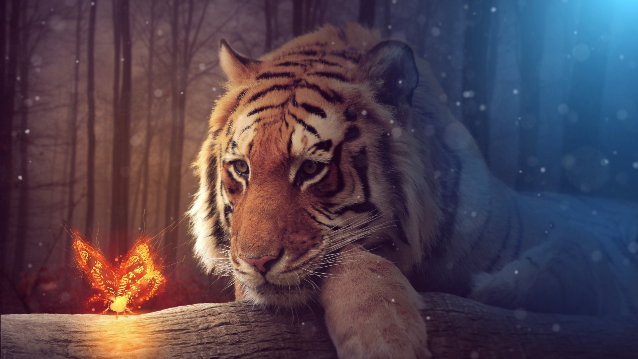 Большой тирг с волшебной огненной бабочкой, фэнтези