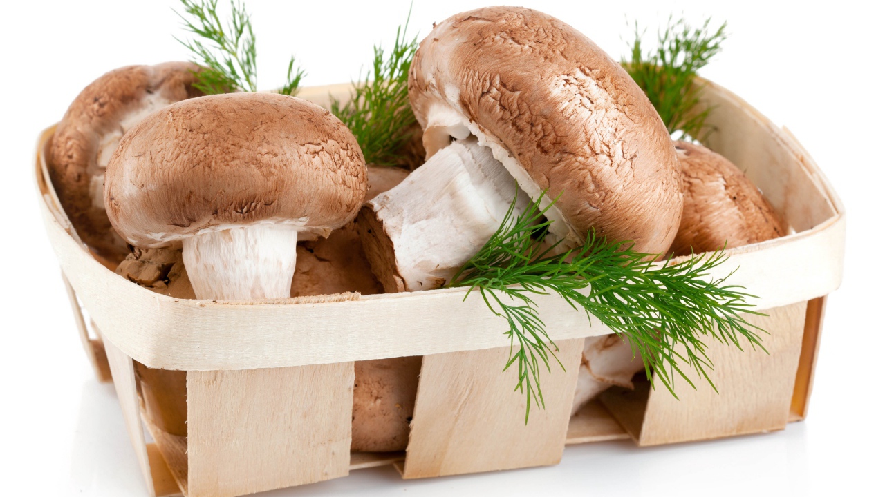 Грибы шампиньоны в деревянной корзине с укропом на белом фоне