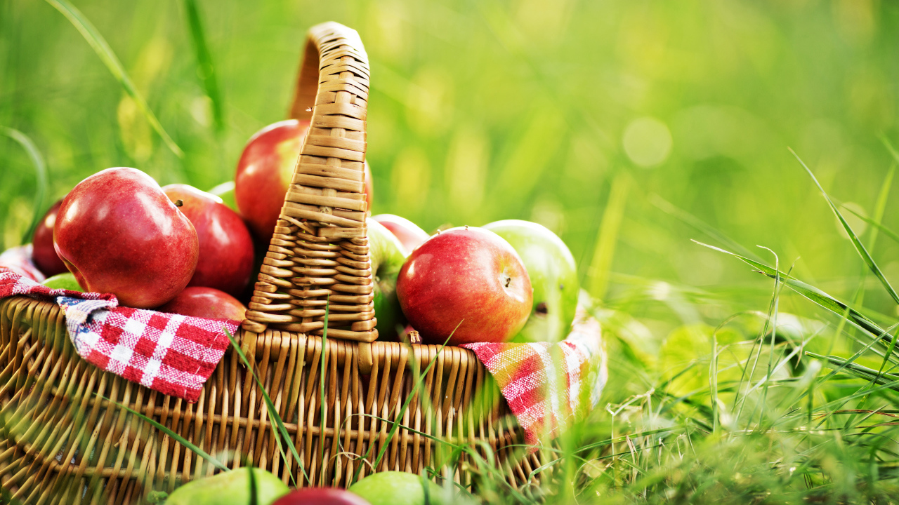 Корзина красных яблок стоит на зеленой траве