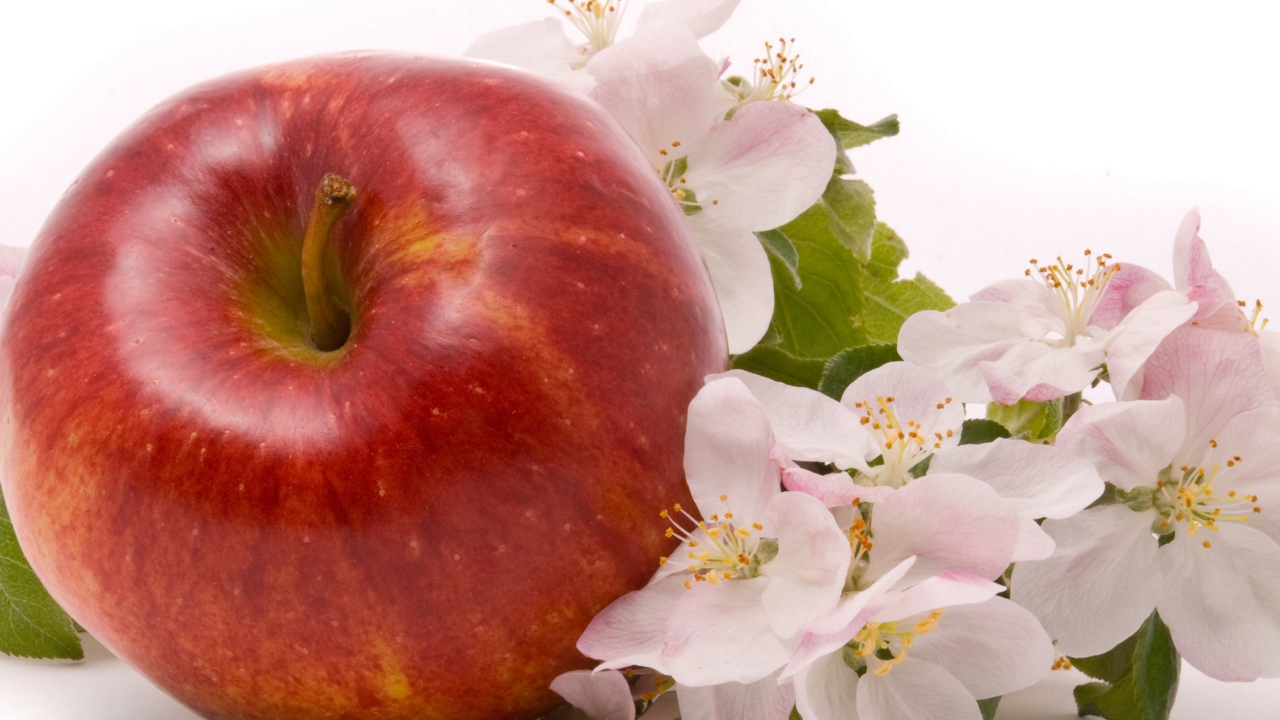 Большое красное яблоко с цветами на белом фоне