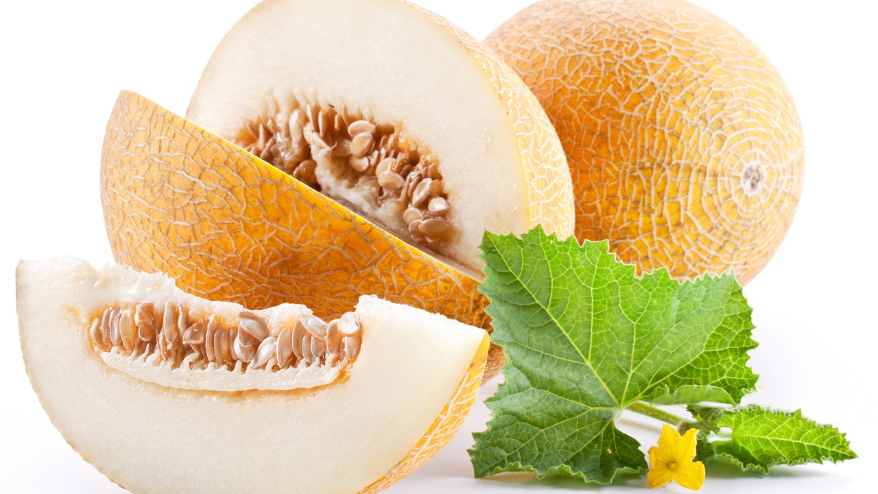 Спелая желтая дыня на белом фоне