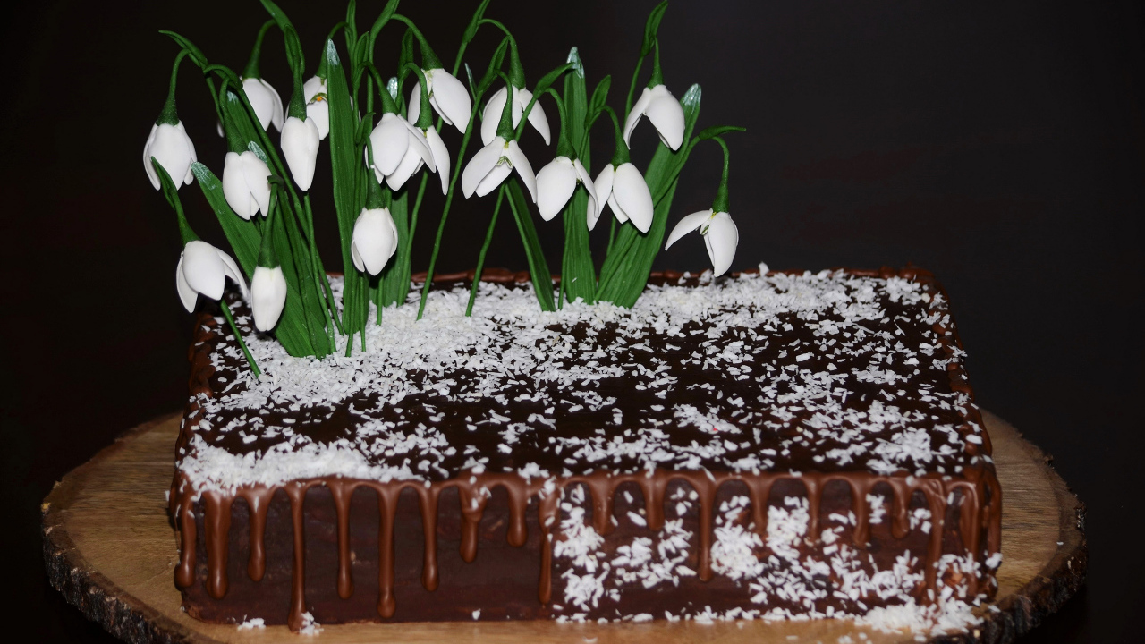 Шоколадный торт с кокосовой стружкой и цветами подснежника
