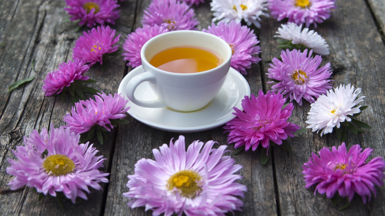 Белая чашка чая на столе с астрами