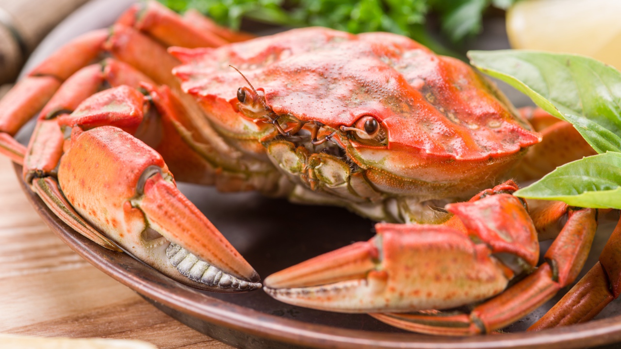 Большой вареный краб на тарелке с листьями салата