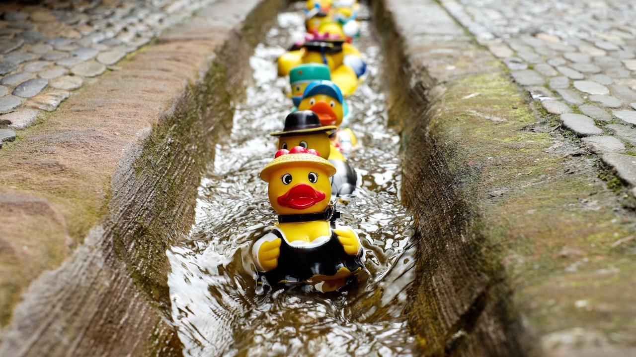 Игрушки утята в водосточной канаве