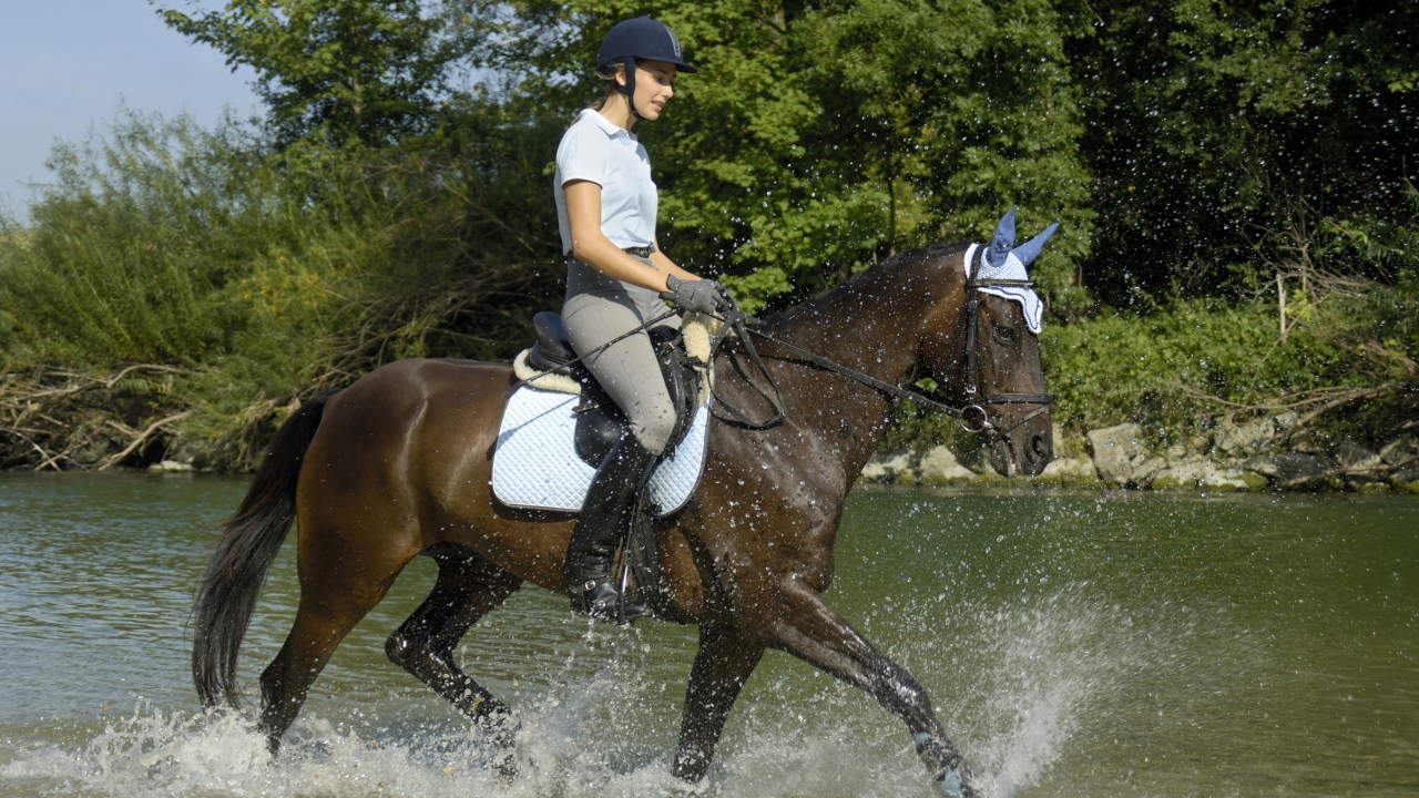 Молодая девушка на лошади скачет по воде