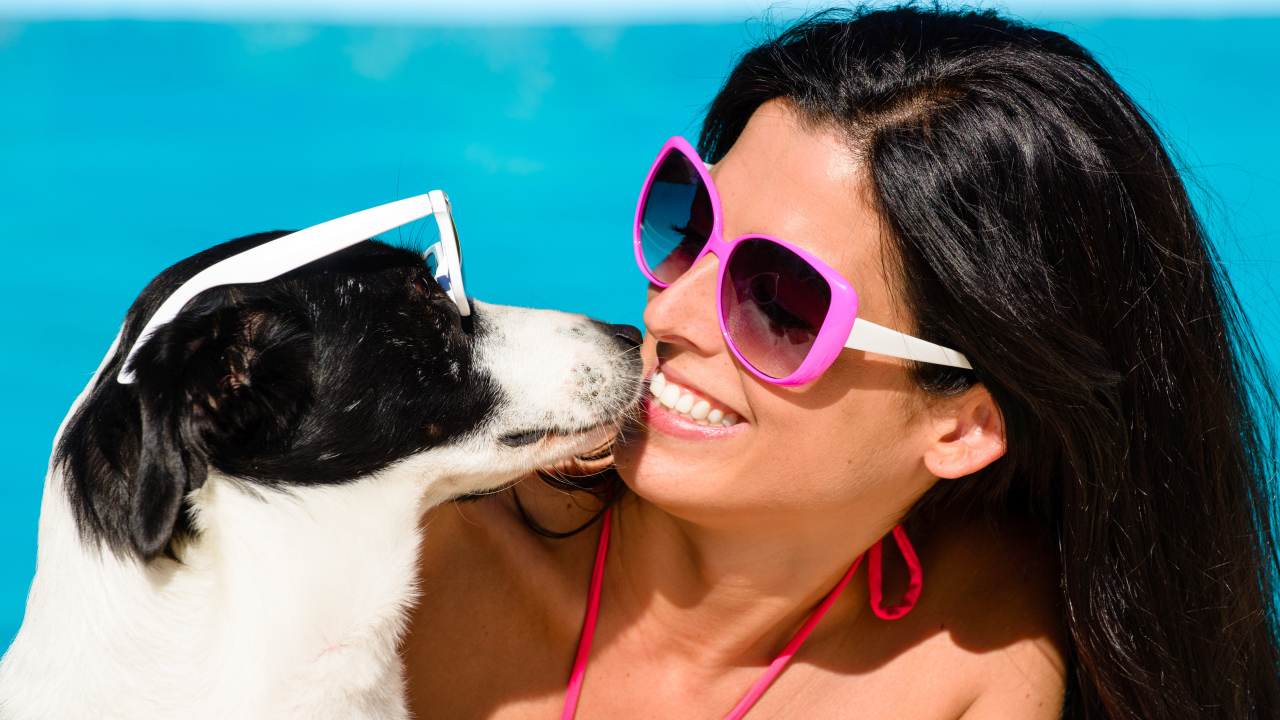 Красивая улыбающаяся девушка в солнечных очках с собакой 