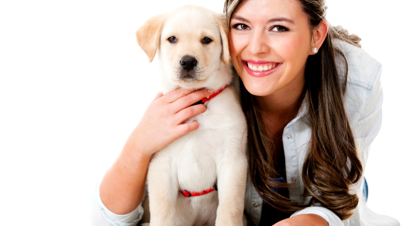 Красивая улыбающаяся девушка с щенком золотистого ретривера
