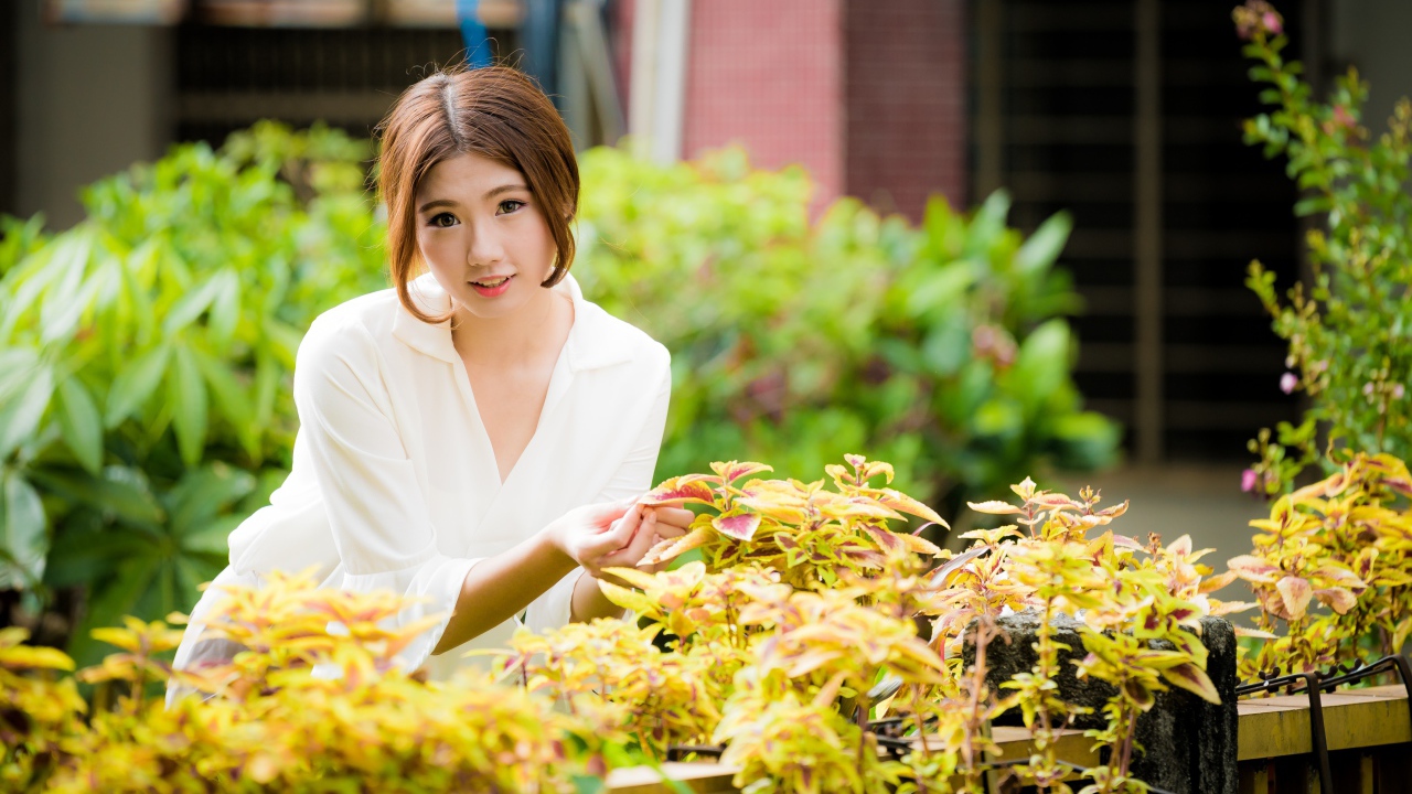 Молодая девушка азиатка с комнатными цветами