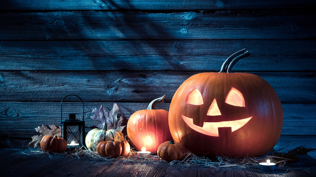 Тыквы на праздник Хэллоуин, 31 октября