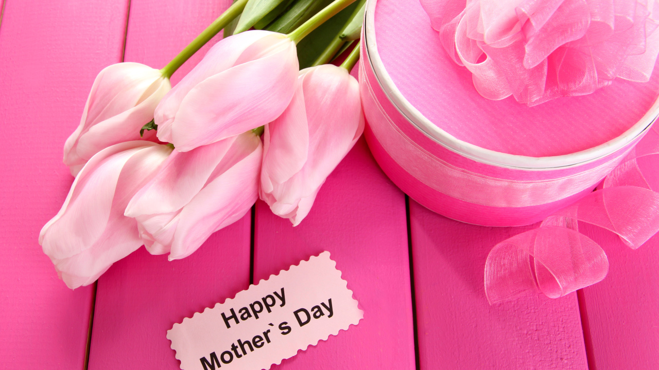 Красивые розовые тюльпаны с подарком и цветами на международный женский день 8 марта