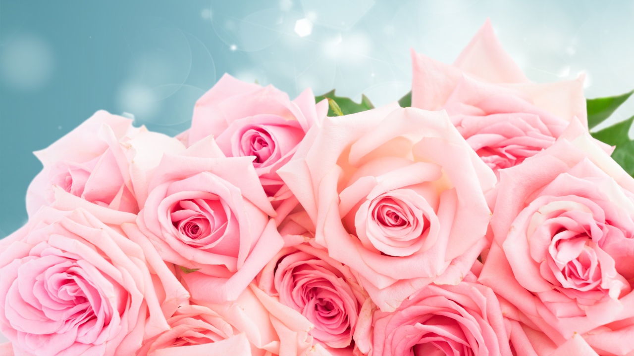 Большой красивый букет розовых роз в подарок на 8 марта