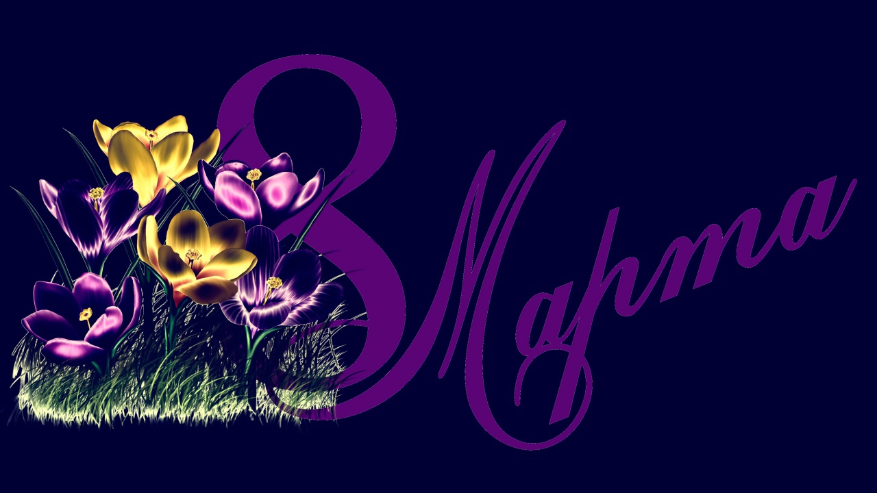 Крокусы на синем фоне на Международный женский день 8 марта