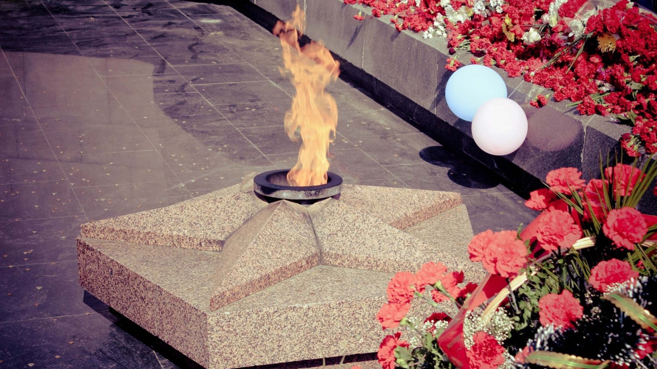 Красные гвоздики у вечного огня на День Победы 9 мая