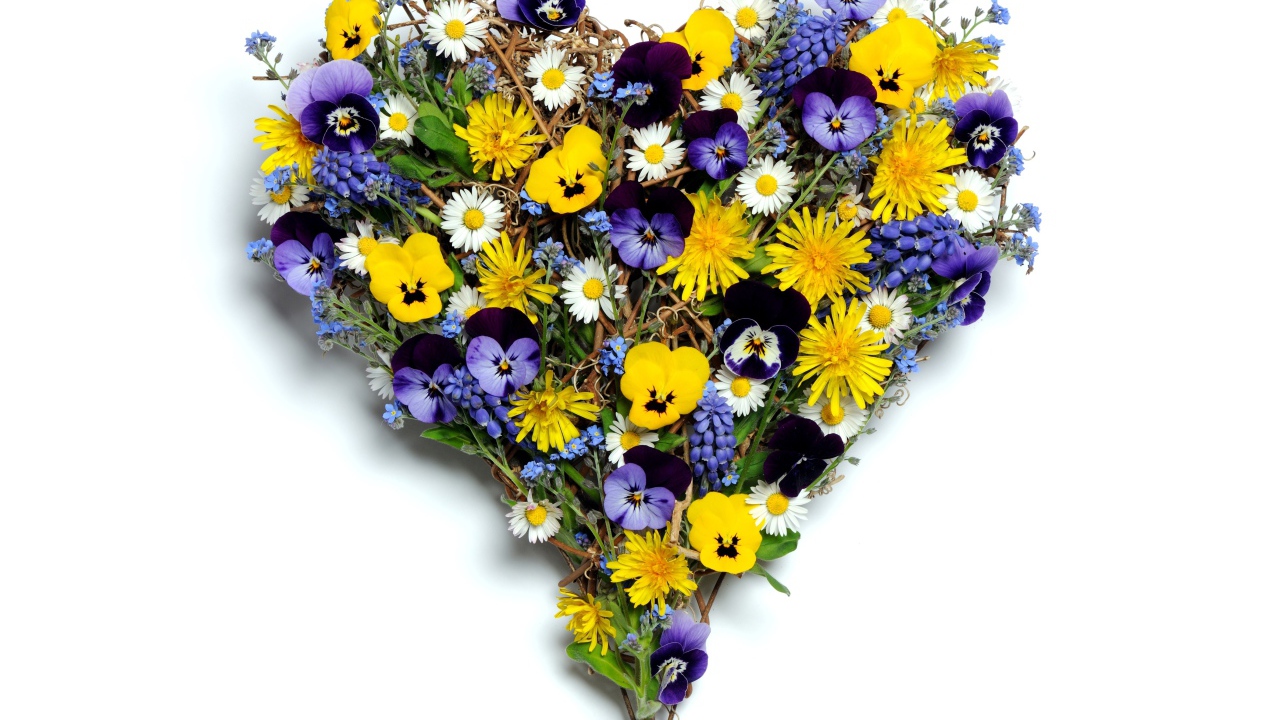 Сердце из полевых цветов на белом фоне
