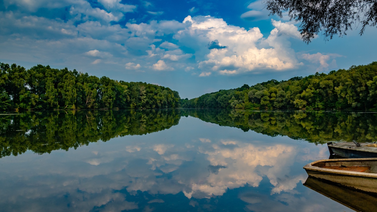 Красивое голубое небо и зеленый лес отражаются в зеркальной глади озера
