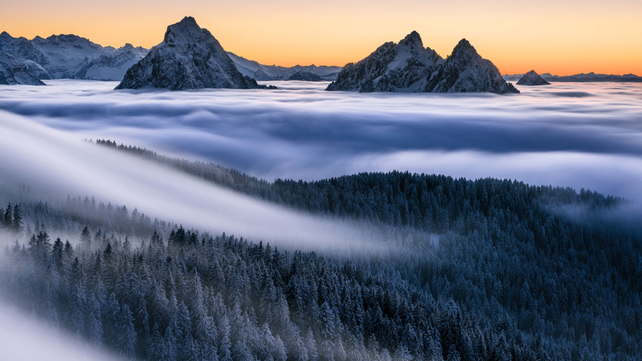 Туман покрывает лес и заснеженные верхушки гор