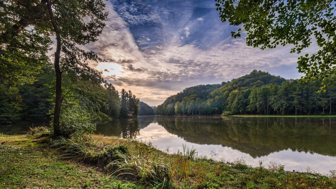 Зеленые деревья на берегу реки под красивым небом