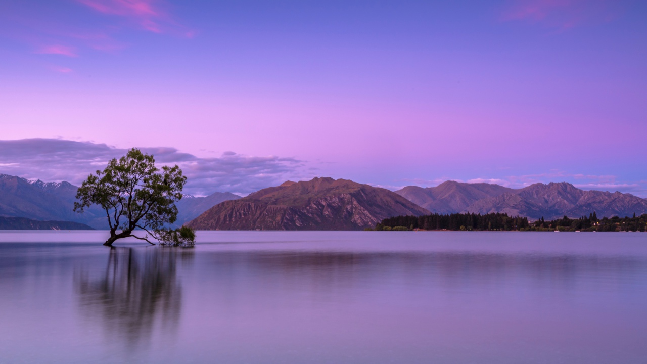 Lonely tree in the water against the backdrop of the mountains at sunset
