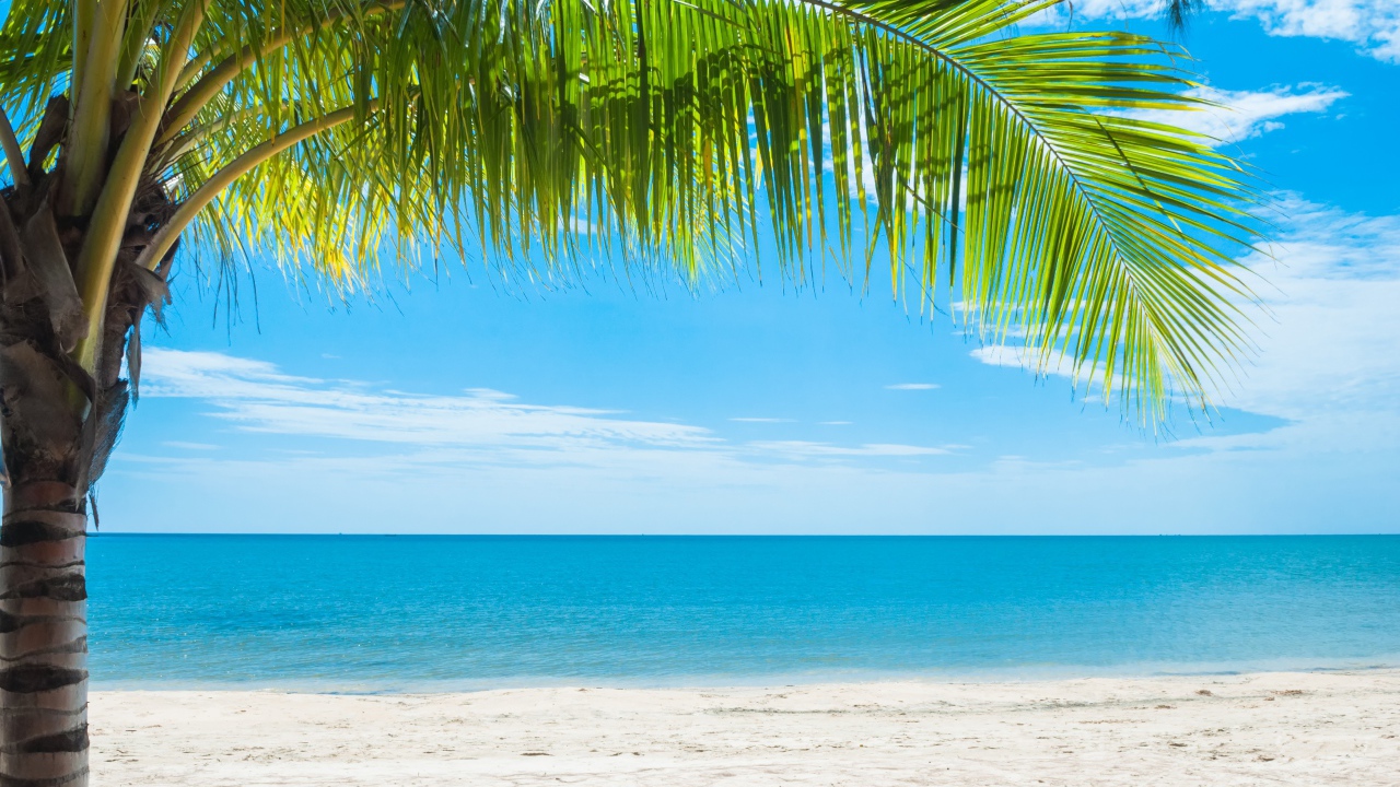 Красивый тропический пляж под голубым небом 