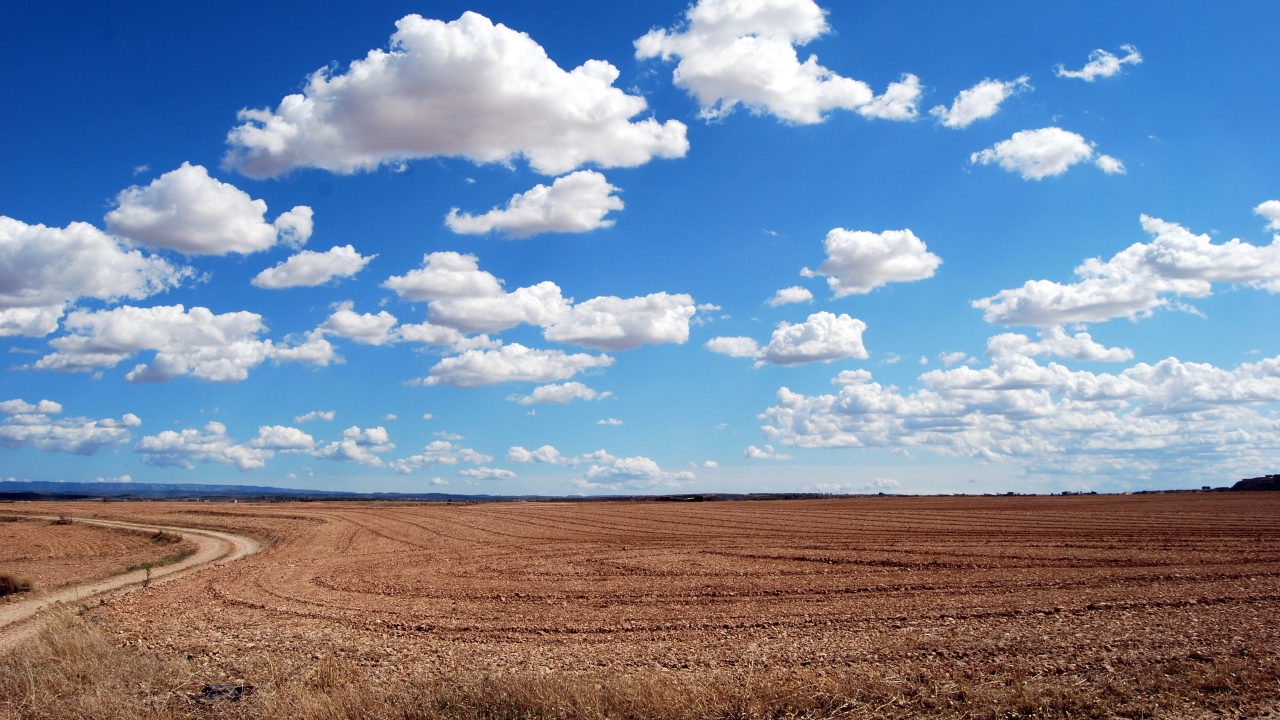 Белые пушистые облака в голубом небе над полем осенью 