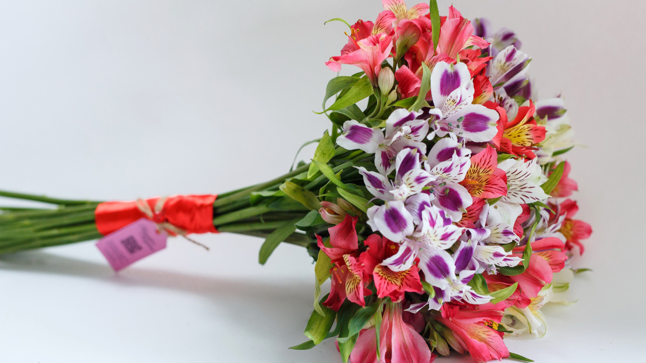 Букет цветов альстромерия на сером фоне 