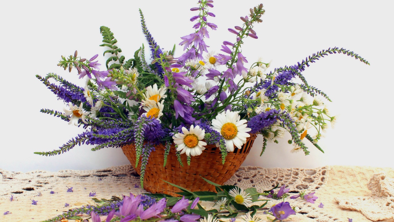 Корзина красивых полевых цветов на сером фоне