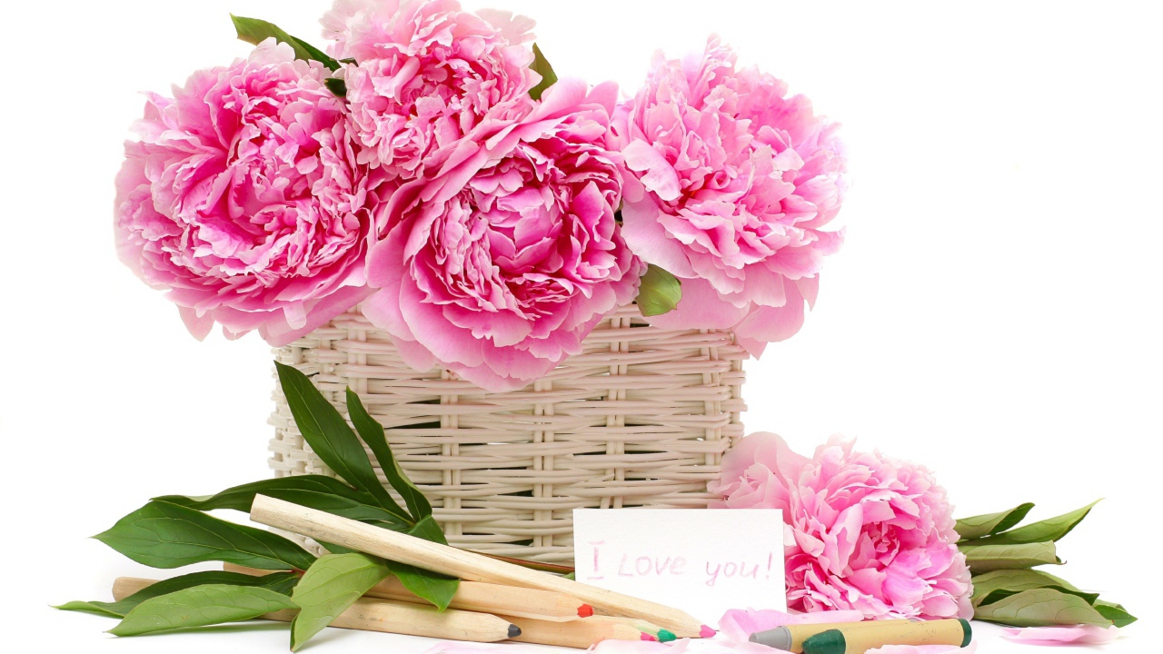 Корзина розовых пионов с карандашами на белом фоне