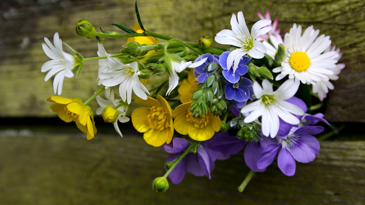 Красивый букет полевых цветов