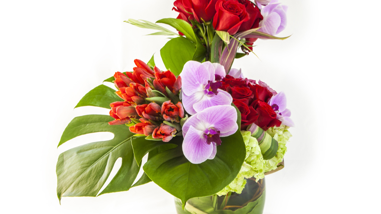 Красивые цветы в стеклянной вазе на белом фоне