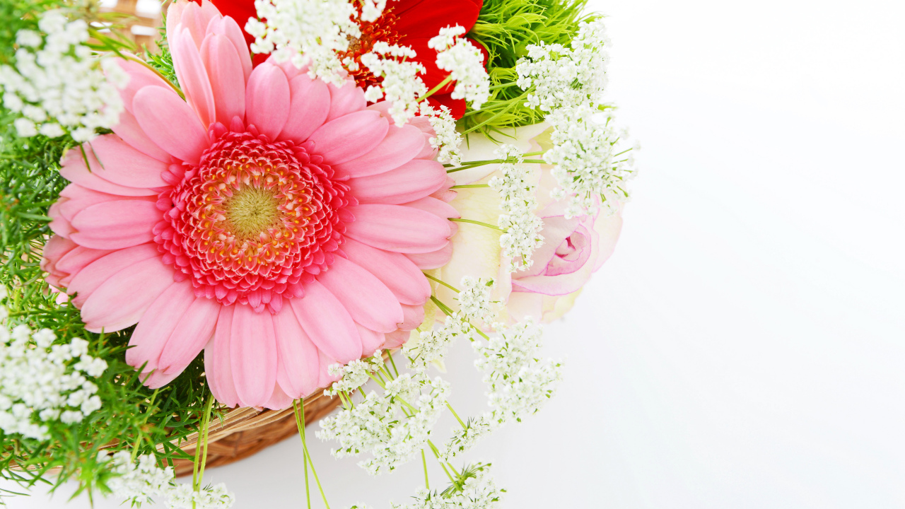 Красивый нежный букет с цветами герберы на белом фоне