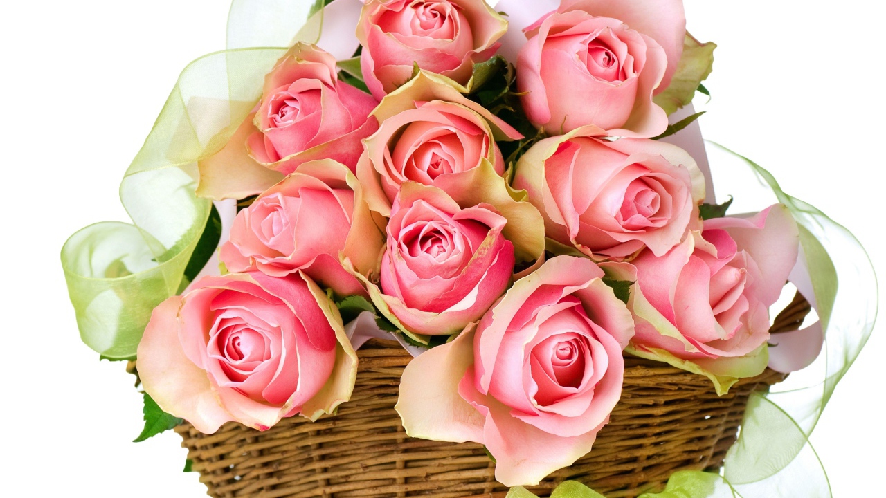 Букет розовых роз в корзине с лентой на белом фоне