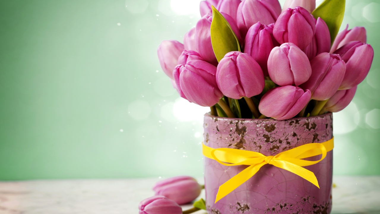 Bouquet of pink tulips in a pot with an yellow bow
