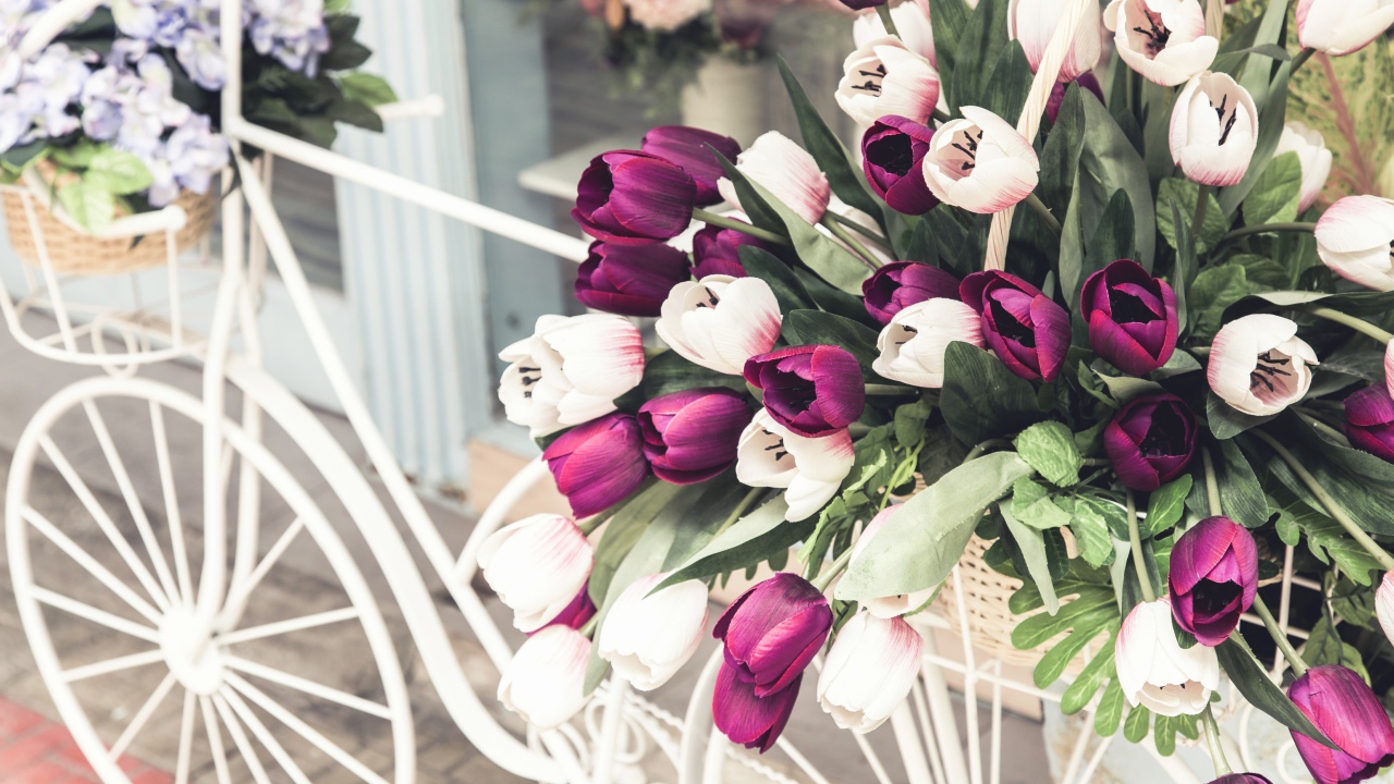 Букет тюльпанов в корзине на белом велосипеде