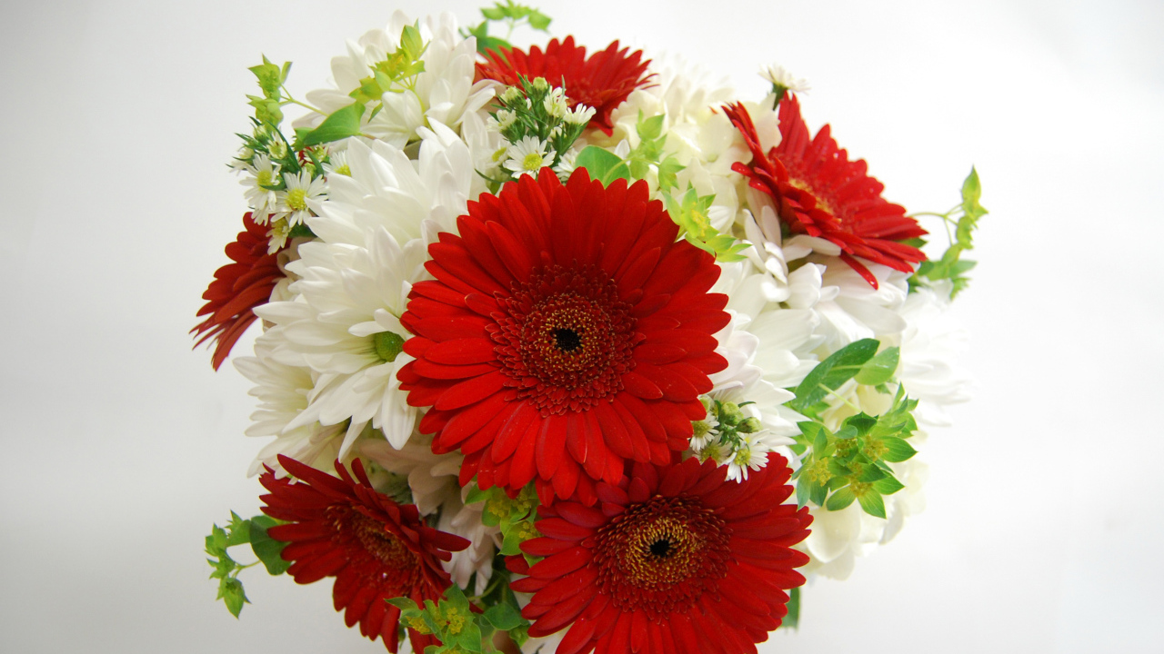 Букет белых хризантем с красными герберами