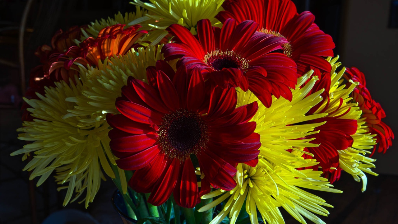 Букет желтых хризантем с красными герберами 