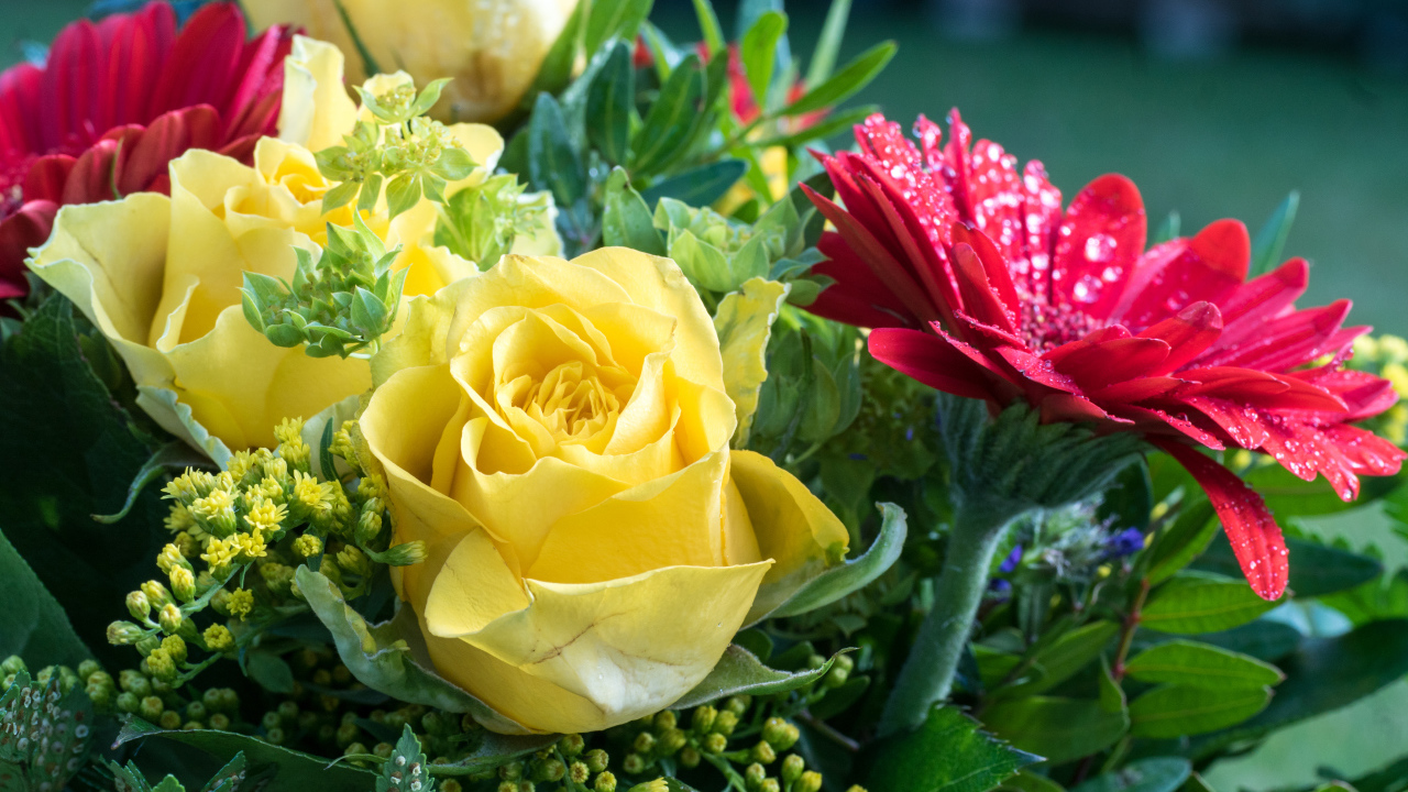 Букет желтых роз с красными цветами герберы 