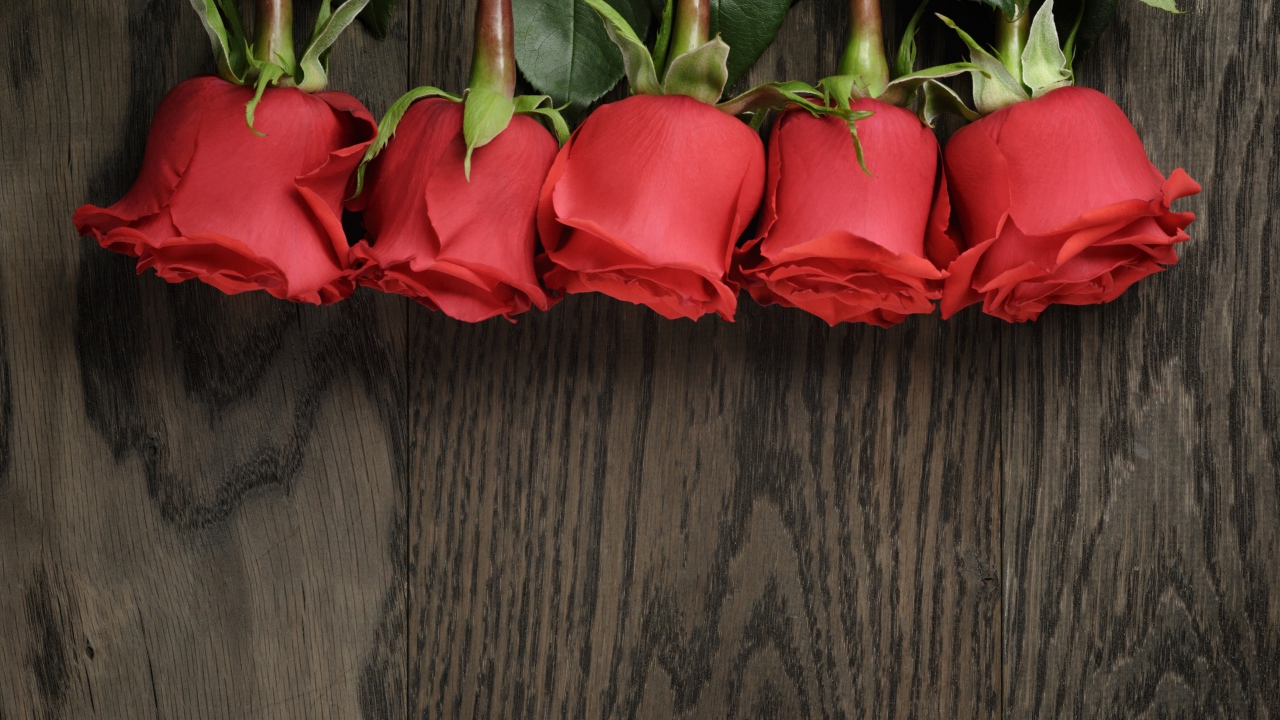 Пять красных роз на деревянной поверхности, шаблон для открытки