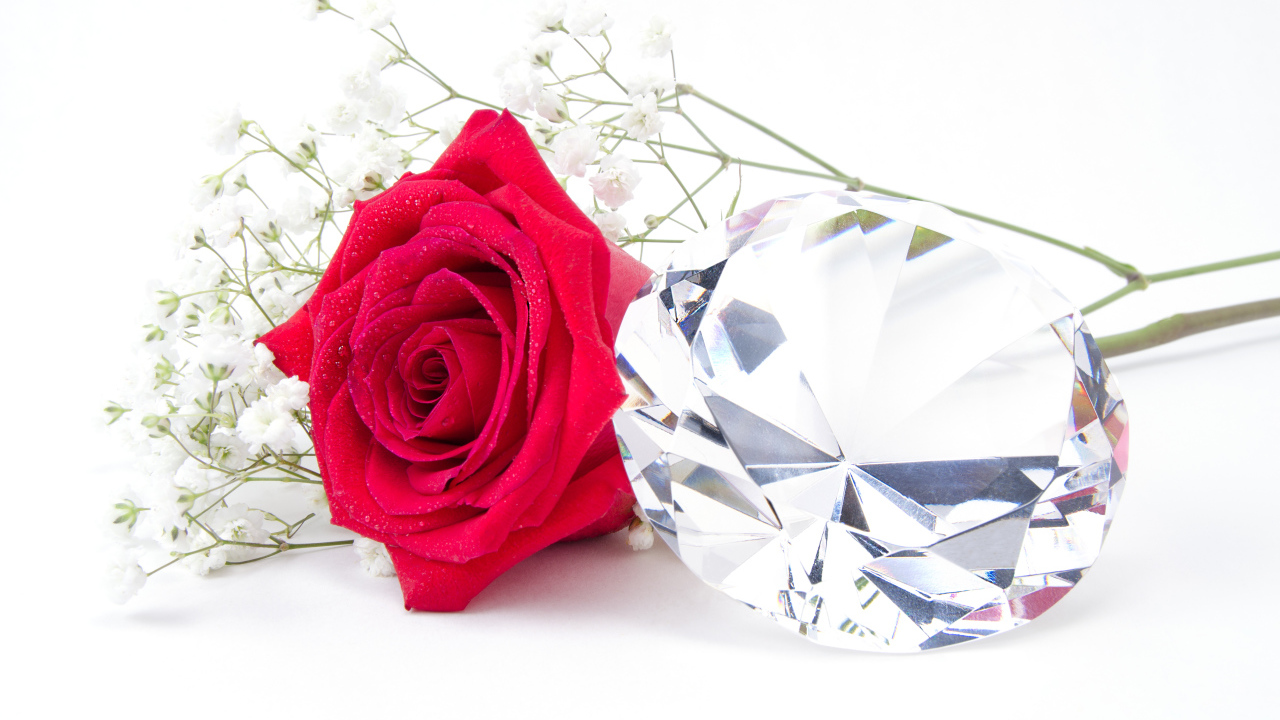 Красная роза с большим бриллиантом на белом фоне