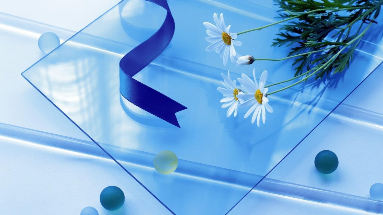 Белые ромашки на стеклянном столе с атласной лентой 