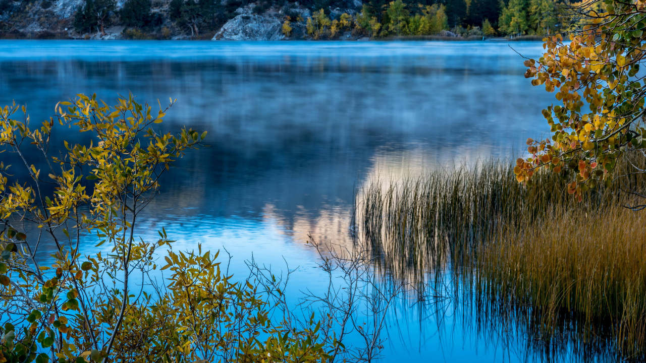 Утренний туман над горным озером, США