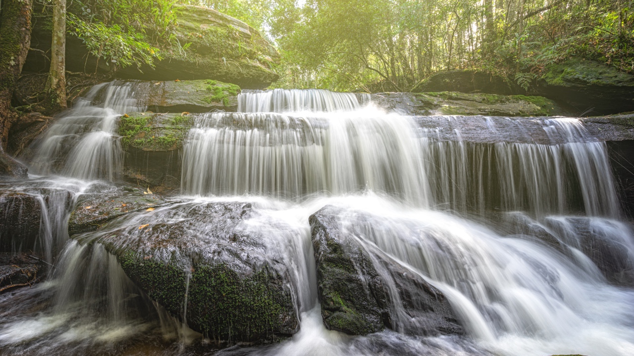 Лесной водопад стекает по камням