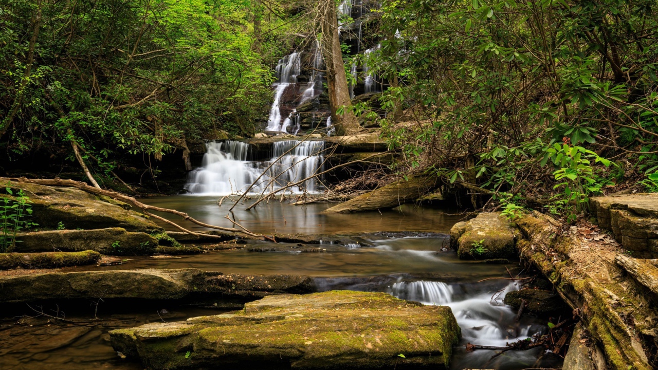 Водопад стекает по камням в лесу